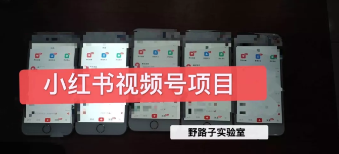 图片[1]-野路子小红书视频号1.0项目，直接上手操作就能赚钱的视频号项目-林文副业站