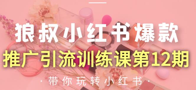 图片[1]-狼叔小红书爆款推广引流训练课第12期，手把手带你玩转小红书-林文副业站
