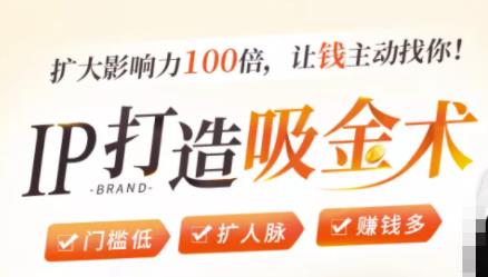 图片[1]-IP打造吸金术：0基础0资源，也能扩大影响力100倍，让钱主动找你！-林文副业站