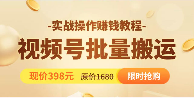 图片[1]-视频号批量运营实战教程，让你一天创作100个高质量视频，日引5W+流量-林文副业站