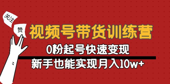 图片[1]-视频号带货训练营：0粉起号快速变现，新手也能实现月入10w+-林文副业站