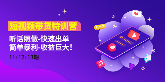 图片[1]-短视频带货特训营（11+12+13期）听话照做-快速出单-简单暴利-收益巨大！-林文副业站