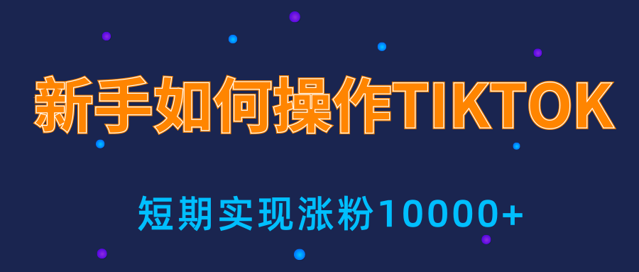 图片[1]-新手小白操作TIKTOK，3天从0到10000粉丝撸美金实战分享-林文副业站