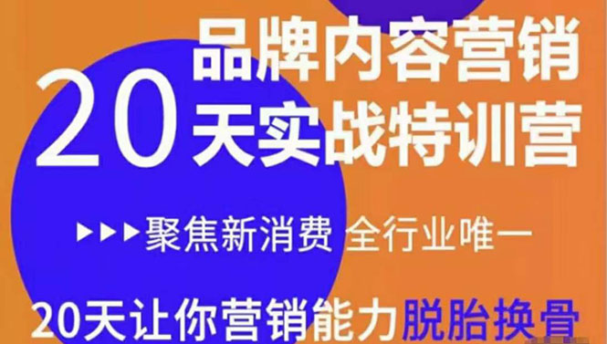 图片[1]-《内容营销实操特训营》20天让你营销能力脱胎换骨（价值3999）-林文副业站