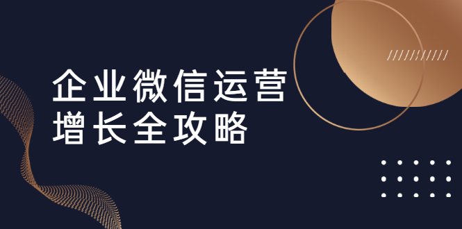 企业微信运营增长全攻略：引流+裂变+运营+成交（16节体系课）-林文副业站