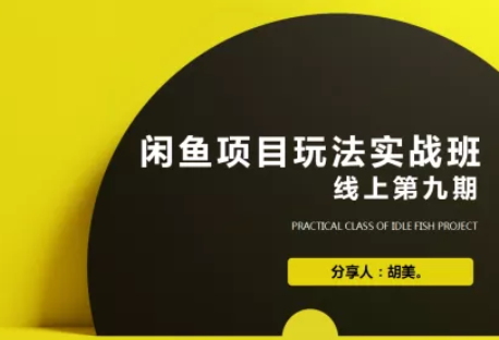 闲鱼项目玩法第9期蓝海营销项目，从0到1实操教您如何批量化去玩（完整版）-林文副业站