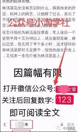 图片[5]-快手混剪上热门对接小说项目变现-林文副业站