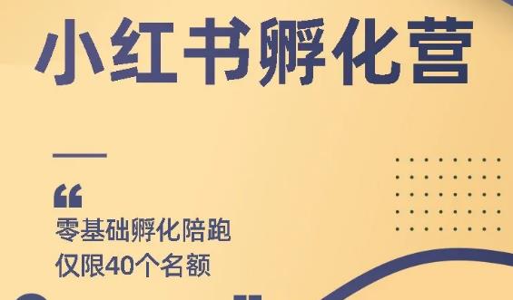 八大资源包：含抖音主播资源，淘宝直播资源，快收网红资源，小红书资源等-林文副业站