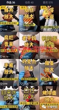 图片[2]-买个显微镜拍抖音做无人直播项目-林文副业站