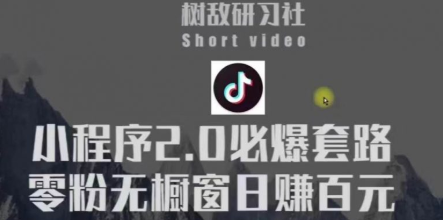 树敌研习社6月抖音赚钱课程：抖音小程序2.0必爆套路零粉无橱窗日赚百元玩法-林文副业站