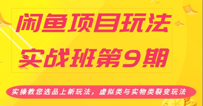 闲鱼项目玩法实战班第9期（二）选品四步骤与四种变现方法，引流到微信方法-林文副业站