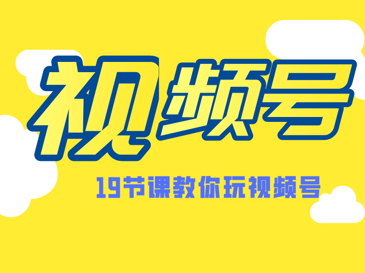 图片[1]-微信视频号操作玩法，视频号推荐机制，涨粉方法，内容运营，变现方式（共19节）-林文副业站