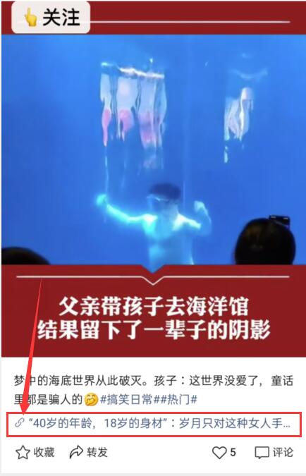 图片[3]-视频号CPS月入10W+ 抢占微信视频号红利-林文副业站