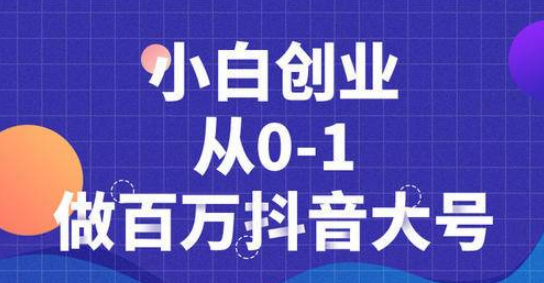 蛋解创业抖音短视频从0到1做百万大号，爆款内容策划，产品千万级别的曝光！-林文副业站
