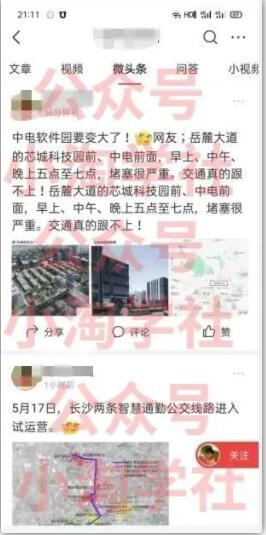 图片[4]-微头条复制粘贴项目，全程手机操作即可赚收益-林文副业站