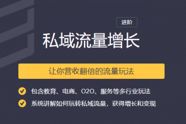 2020私域流量增长让你营收翻倍的流量课程-林文副业站