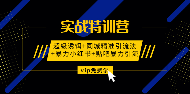 实战特训营:超级诱饵+同城精准引流法+暴力小红书+贴吧暴力引流（视频课程）-林文副业站