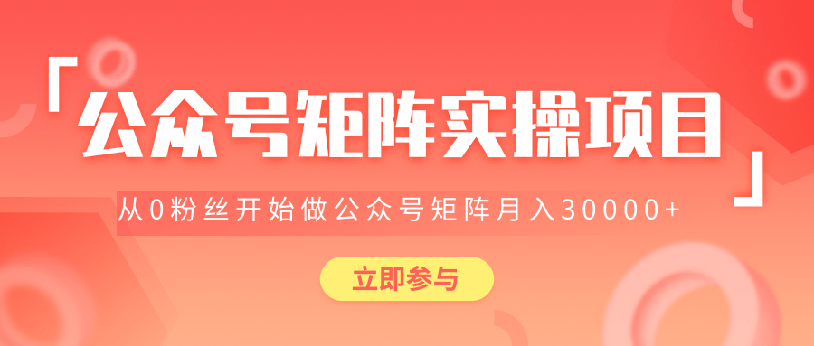 价值2580元公众号矩阵实操项目，从0粉丝开始做赚钱的公众号矩阵，月入3000+-林文副业站