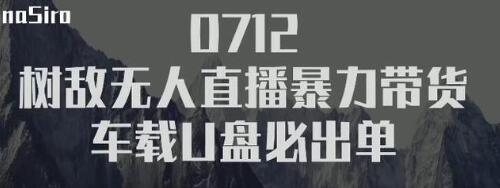 图片[1]-树敌‮习研‬社抖音无人直播暴力带货车载U盘必出单，单号单日产出300纯利润-林文副业站
