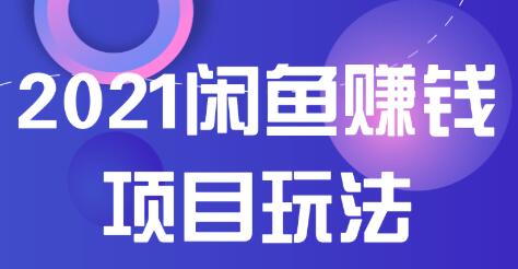 龟课·闲鱼无货源电商课程第20期：闲鱼项目操盘手带你从0到月入20万+-林文副业站