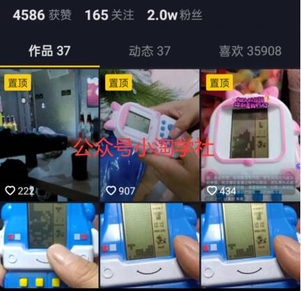 图片[2]-零门槛抖音直播带货项目，边玩边赚钱-林文副业站