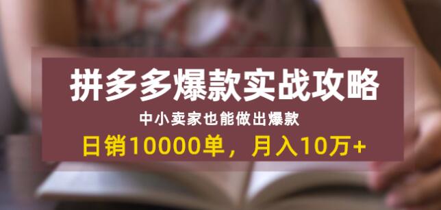 拼多多爆款实战攻略：中小卖家也能做出爆款，日销10000单月入10w+-林文副业站