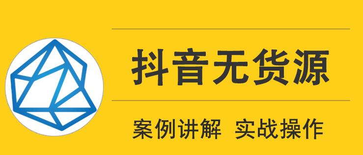 顽石电商抖音无货源实战教程，低投入高回报短视频变现-林文副业站