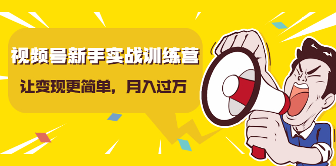 图片[1]-视频号新手实战训练营，让变现更简单，玩赚视频号，轻松月入过万-林文副业站