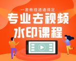 专业去视频水印教程 静态水印、动态水印、文字水印、图片水印一套教程通通搞定-林文副业站