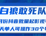 白狼敢死队最新抖音短视频批量起影视号（一天单人可操作30个号）视频课程-林文副业站