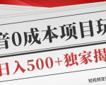 短视频变现套路剖析，抖音0成本赚钱项目玩法，日入500+独家揭秘（共2节视频）-林文副业站