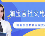 某站内部课程：淘宝客社交电商裂变，精准引流和粉丝裂变模式详解（共6节视频）-林文副业站