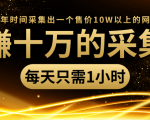 年赚十万的采集站，每天却只需要1小时，一年时间采集出一个售价10W以上的网站-林文副业站