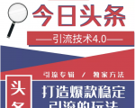 今日头条引流技术4.0，微头条实战细节，微头条引流核心技巧分析，快速发布引流玩法-林文副业站