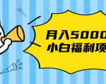 搏金汇小白福利网赚项目，长久稳定月入5000-林文副业站