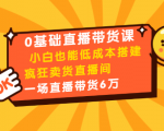 0基础直播带货课：小白也能低成本搭建疯狂卖货直播间：1场直播带货6万-林文副业站