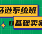 亚马逊系统班，专为0基础卖家量身打造，亚马逊运营流程与架构-林文副业站