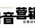 《12天线上抖音营销实操训练营》通过框架布局实现自动化引流变现-林文副业站