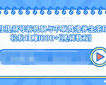 视频号新机制与不刷赞撸养生茶玩法，轻松日赚1000+-林文副业站