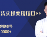 柚子分享课：微信视频号变现攻略，新手零基础轻松日赚千元-林文副业站