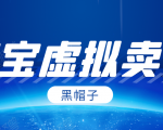 黑帽子淘宝虚拟卖货项目，单店每月收入5000+-林文副业站