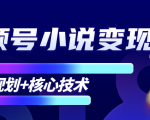 柚子微信视频号小说变现项目，全新玩法零基础也能月入10000+【核心技术】-林文副业站