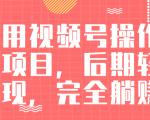 视频号操作书单变现项目，后期轻松变现，完全躺赚日入300至500元-林文副业站