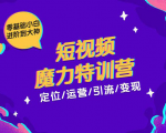 零基础小白进阶到大神《短视频魔力特训营》定位-运营-引流-变现-林文副业站
