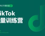 2020最新TikTok流量增长训练营（完结）附PPT-林文副业站
