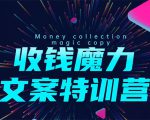 8堂收钱魔力文案特训营：让你的文案成为你的财富印钞机，靠文章日赚千元-林文副业站