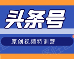 头条号原创视频特训营：一对一带你玩转短视频，新号10天日收益破252元-林文副业站