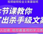 张根视频破局吸金文案班：节节课教你写出杀手级文案(附67页文案训练手册)-林文副业站