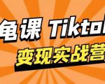 龟课·TikTok变现实战训练营线上第1期，多种变现模式，轻松赚美刀-林文副业站
