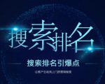 搜索排名引爆点：教你快速掌握各个搜索引擎排名算法，让客户主动找上你的秘笈-林文副业站